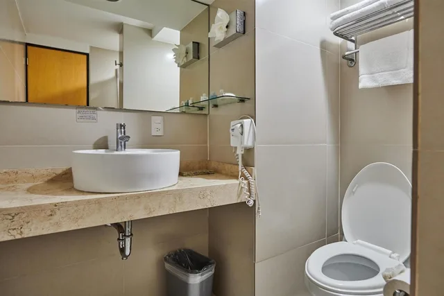 غرفة قياسية بسريرين منفصلين، Best Western Plus Gran Hotel Centro Historico 7/8