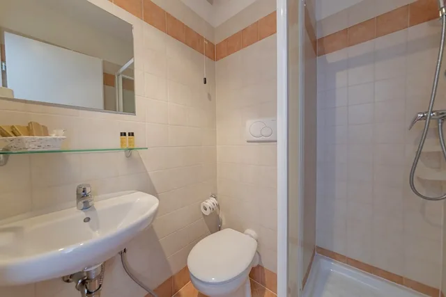 غرفة سوبيريور بسرير مزدوج، HOTEL SORAPISS 3/3