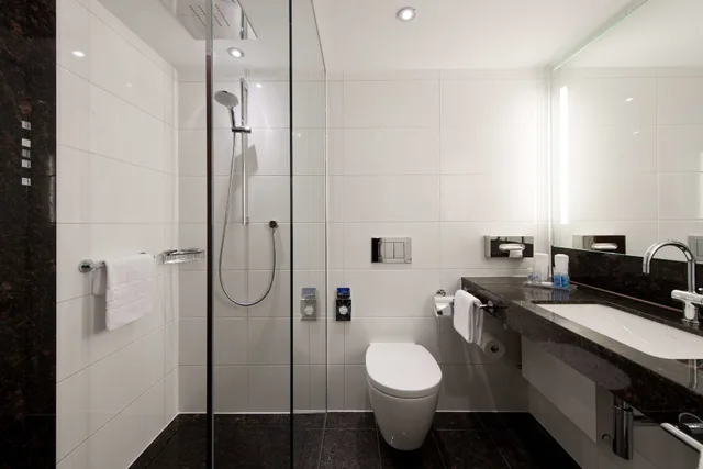 غرفة كومفورت بسرير مزدوج، Maritim Hotel Darmstadt 5/8