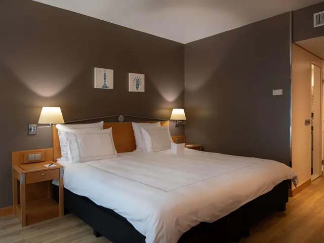 غرفة كلاسيكية بسرير مزدوج، Swissotel Amsterdam 1/5
