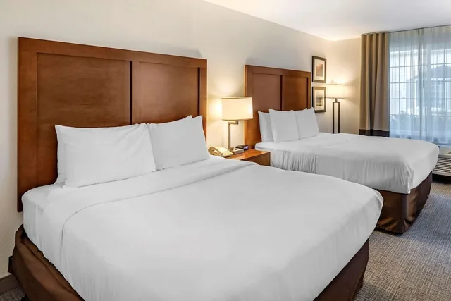 Standard, 2 Queen Beds, Comfort Inn & Suites Carbondale on the Roaring Fork 3/10