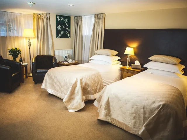 غرفة سوبيريور بسرير كينج، Somerville House Guest House 2/6