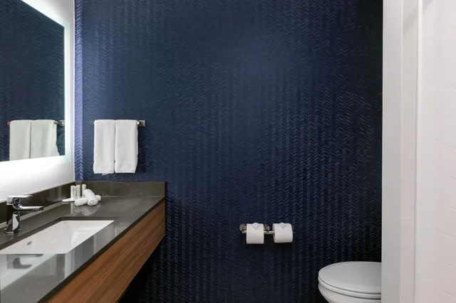 غرفة بسرير مزدوج لذوي الإعاقة، Fairfield Inn & Suites By Marriott Atlanta Stonecrest 2/2