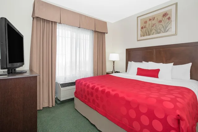 1 Bedroom, Suite, King Bed, Ramada By Wyndham Denver International Airport 1/8