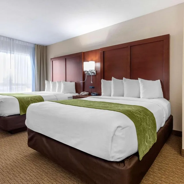 جناح ديلوكس بسرير كوين، Comfort Suites Omaha East-Council Bluffs 2/9