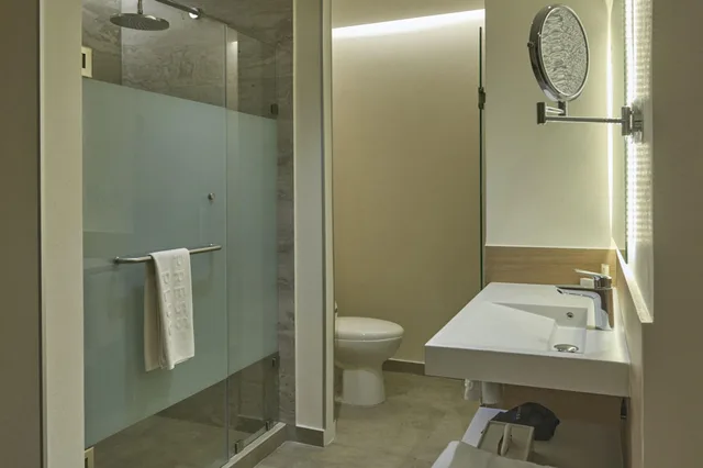 غرفة سوبيريور بسرير كينج، City Express Plus by Marriott San Luis Potosi 6/6