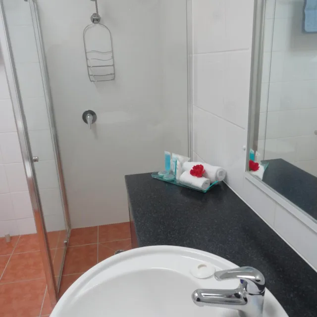 غرفة تنفيذية بسريرين منفصلين، Victoria Lodge Motor Inn And Apartments 1/2