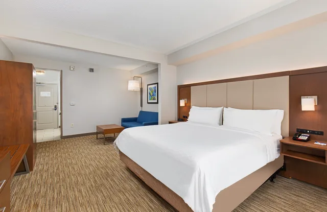 جناح بسرير كينج، Holiday Inn Express Hotel and Suites Mt. Juliet-Nashville Area 1/5