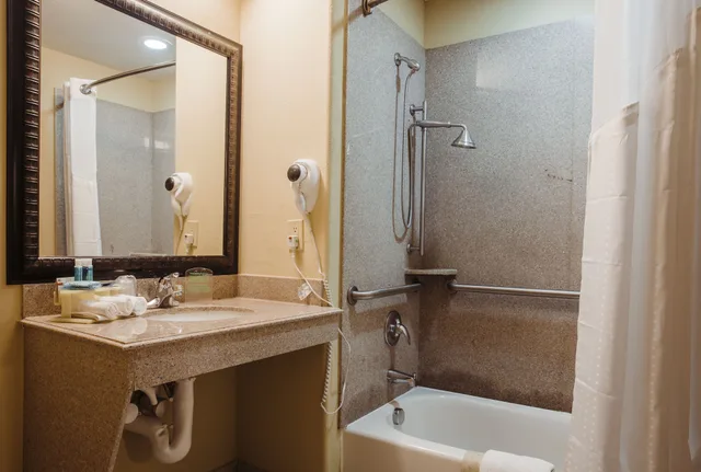 جناح بسرير كوين لذوي الإعاقة، Holiday Inn Express & Suites Waller - Prairie View 2/3
