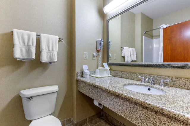 جناح بسرير كينج مع أريكة، Comfort Inn Powell - Knoxville North 6/8