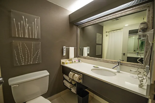 جناح عائلي بسريرين مزدوجين بغرفة نوم واحدة مع أريكة، CAMBRIDGE SUITES HALIFAX HOTEL 6/7