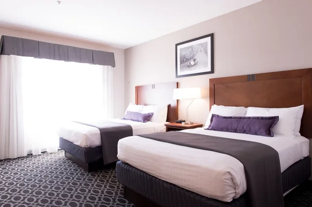 جناح بسريرين كوين، The Bluemont Hotel 3/4