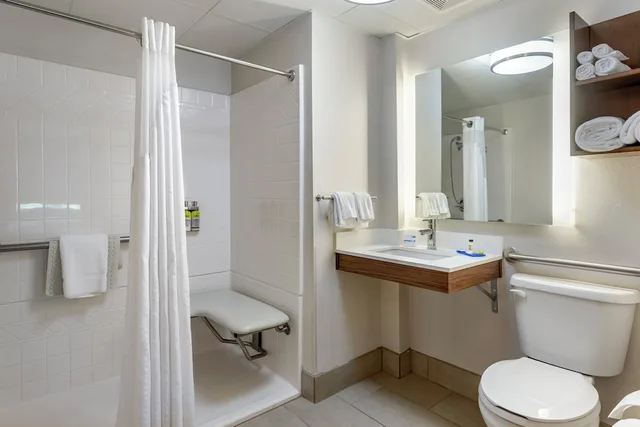 غرفة قياسية بسرير كينج لذوي الإعاقة، Holiday Inn Express Branson-Green Mountain Drive 6/6