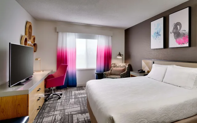 Evolution, King Bed، Hilton Garden Inn Bozeman 1/4