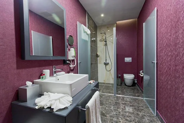 غرفة اقتصادية، Euphoria Batumi Convention And Casino Hotel 1/1