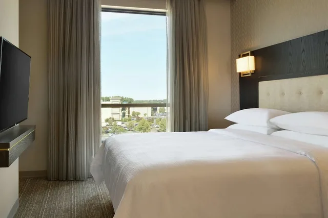جناح بسرير كينج مع أريكة، Embassy Suites by Hilton Syracuse Destiny USA 1/3