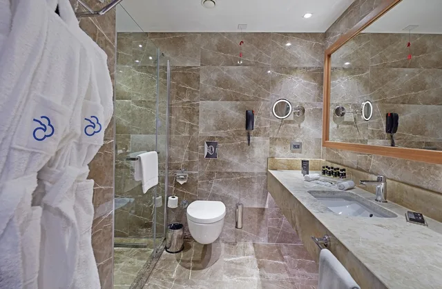 Superior, Twin Beds, Murphy Bed, City View، Dedeman Kayseri 5/5