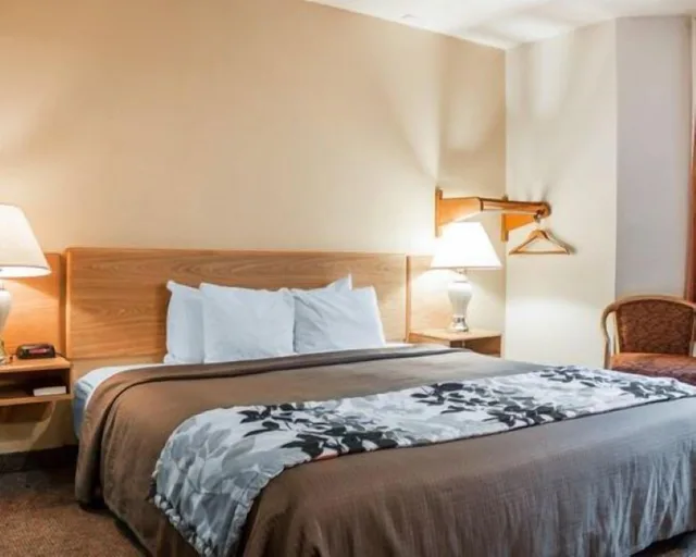 غرفة بسرير كينج يُسمح فيها بالحيوانات الأليفة، Boise Airport Hotel 4/5