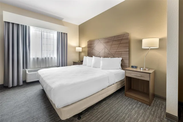 جناح بسرير كينج، Best Western Brockport Inn & Suites 1/2