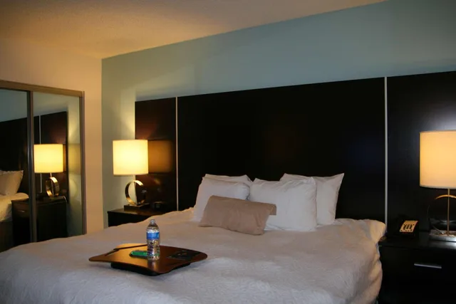 1 Bedroom, Garden, Suite, King Bed, Sofa, Bathtub، Hampton Inn Shreveport Airport La 1/3