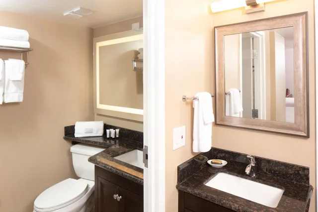 Standard, King Bed, Sofa, Accessible, Radisson Hotel Orlando Lake Buena Vista South 3/4