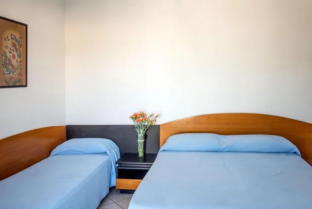 غرفة اقتصادية ثلاثية، HOTEL INTERNAZIONALE 5/9