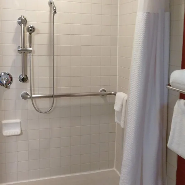 غرفة بسريرين مزدوجين لذوي الإعاقة، Courtyard Houston Brookhollow 6/7