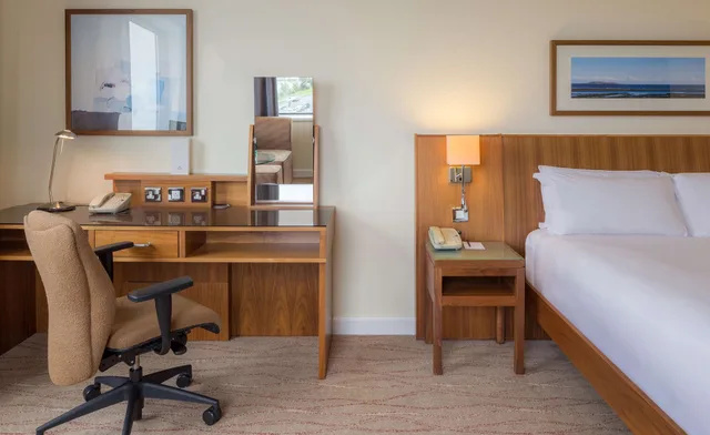 غرفة ديلوكس بسرير كينج بحوض استحمام، Hilton Dublin Airport 3/4