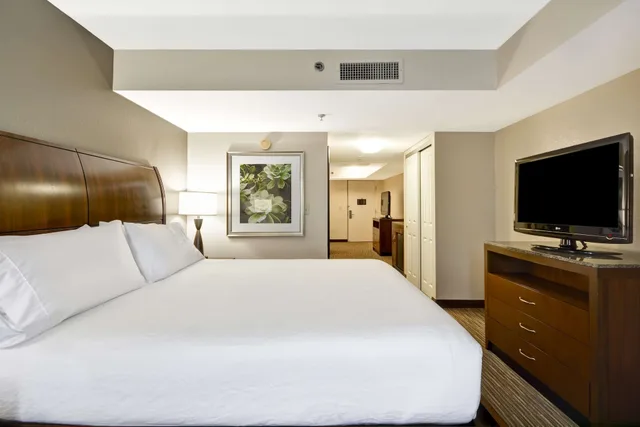 جناح بسرير كينج بغرفة نوم واحدة، Hilton Garden Inn Sarasota-Bradenton Airport 1/4