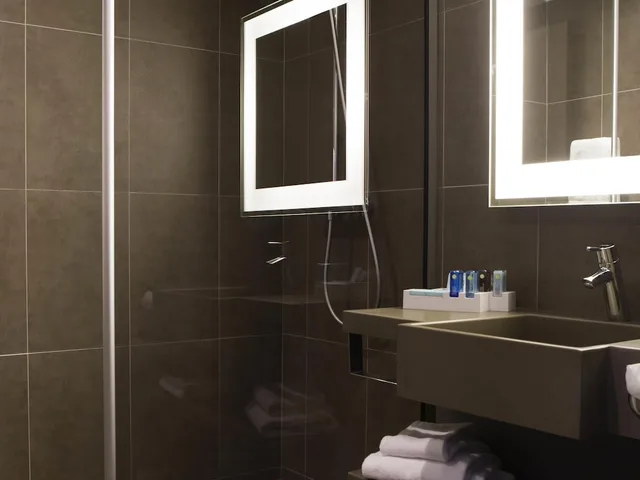 غرفة تنفيذية بسرير مزدوج، Novotel Paris Nord Expo Aulnay 4/4