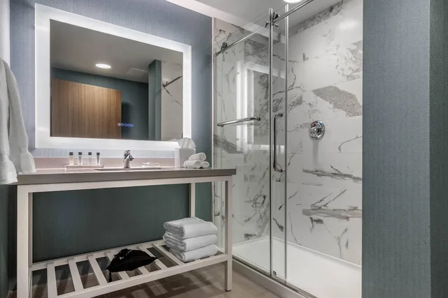 غرفة قياسية بسرير كينج، Cambria Hotel West Orange 3/3