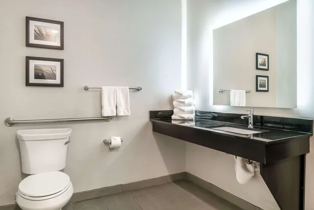 غرفة بسرير كوين لذوي الإعاقة، Comfort Inn & Suites Adrian 4/4