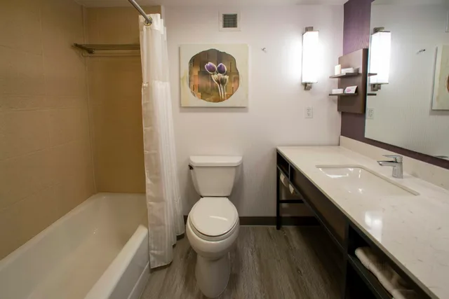 جناح جونيور بسرير كينج مع أريكة، Hilton Garden Inn Rapid City 2/3
