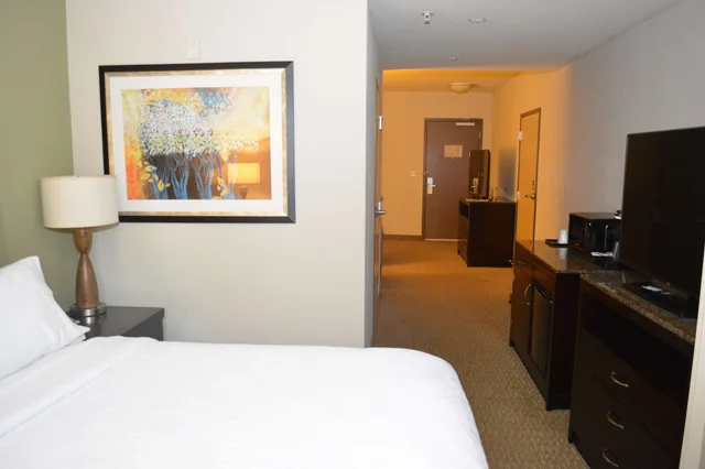 Evolution, King Bed، Hilton Garden Inn Houston/Pearland 6/6