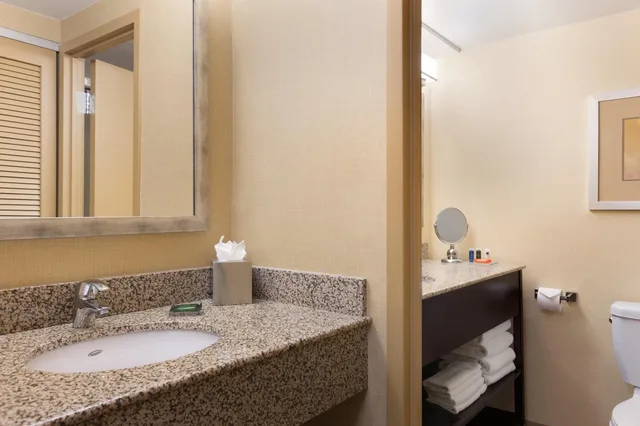 غرفة رباعية بسرير كوين لذوي الإعاقة، Sheraton Nashua 2/2