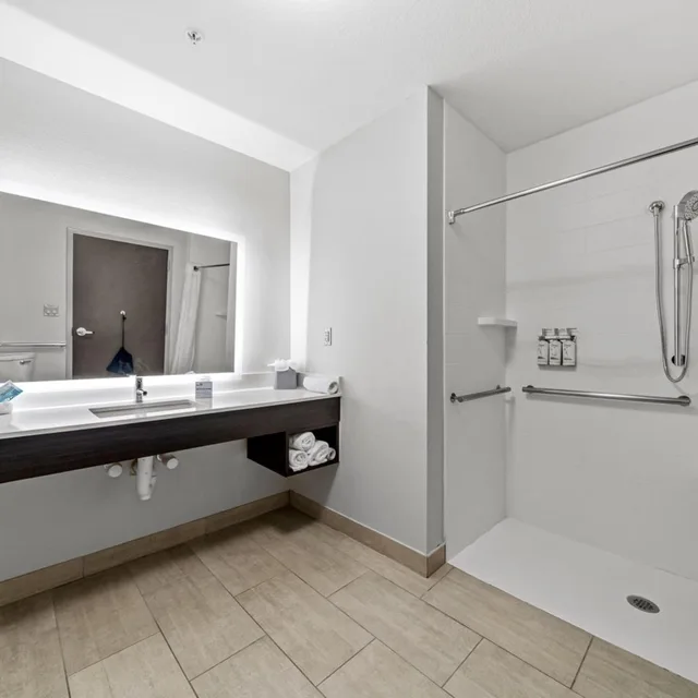 جناح استوديو بسرير كينج لذوي الإعاقة، Holiday Inn Express And Suites Lakeland South 3/5