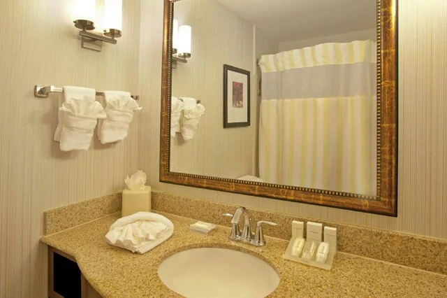 جناح جونيور بسرير كينج مع أريكة لذوي الإعاقة، Hilton Garden Inn Minneapolis Eden Prairie 3/4