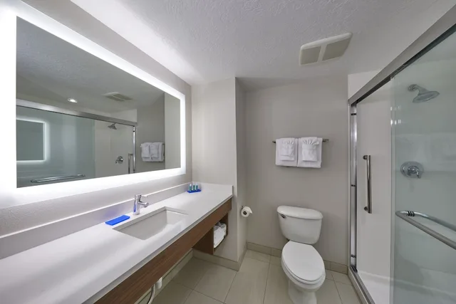 غرفة قياسية بسرير كينج لذوي الإعاقة، Holiday Inn Express Hotel And Suites Medford Central Point 3/6