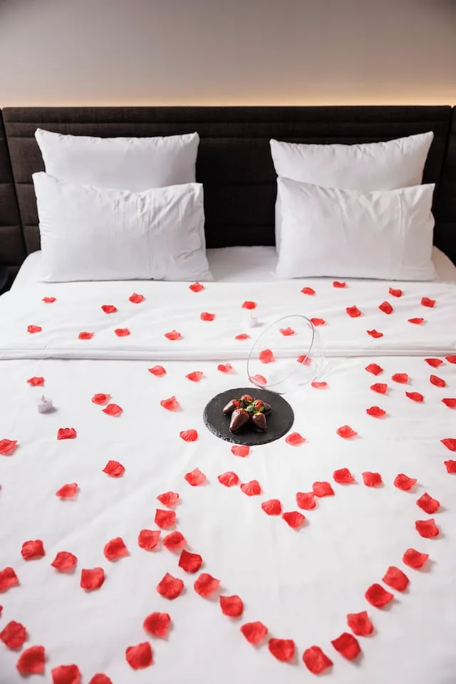 غرفة قياسية بسرير مزدوج، Novotel Hamburg Central Station 4/7