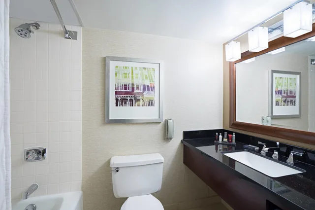 غرفة ديلوكس بسرير كينج، Marriott Charleston Town Center 3/3