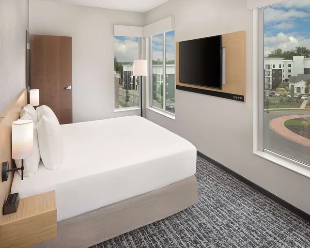 جناح بسرير كينج مع أريكة لذوي الإعاقة، Hyatt Place Murfreesboro 1/2