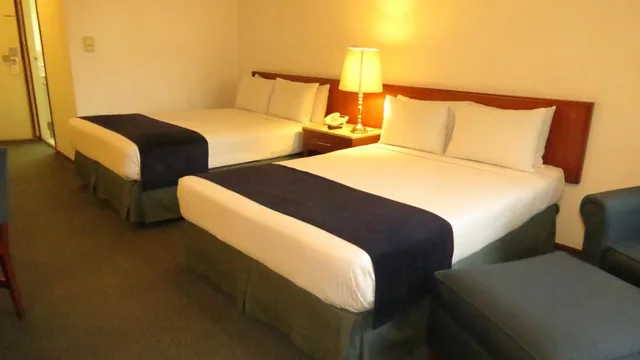 غرفة سوبيريور بسريرين منفصلين، Bristol Hotel 1/10
