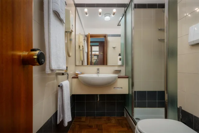 Room, Single, Hotel Crivis 7/16