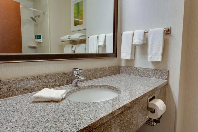 غرفة سوبيريور ديلوكس بسرير كينج، DRURY INN AND SUITES BATON ROUGE 3/3