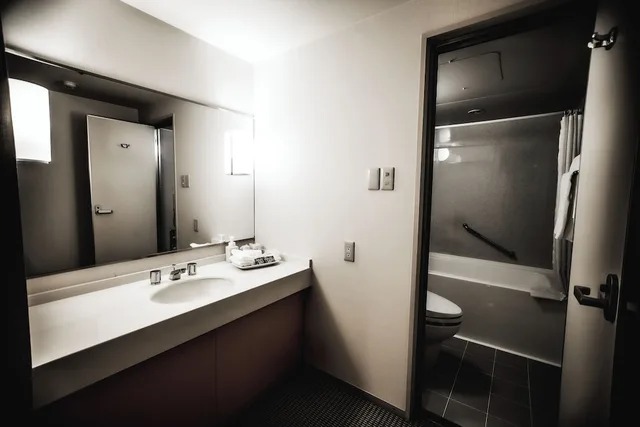 غرفة سوبيريور بسريرين منفصلين، Oarks Canal Park Hotel Toyama 6/6