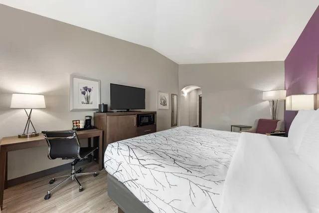 غرفة بسرير كينج بمطبخ صغير لذوي الإعاقة، Best Western Plus Buda Austin Inn and Suites 3/4