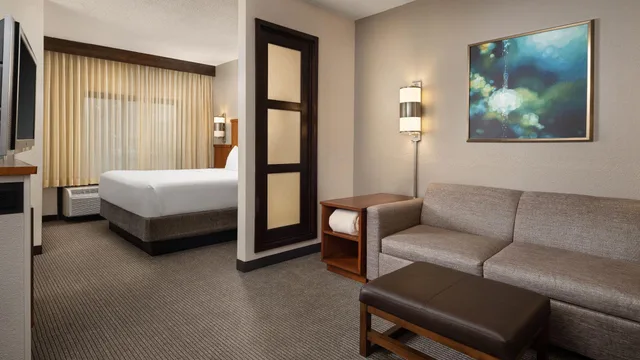 Room, King Bed, Sofa, Bathtub, Accessible, Hyatt Place Columbus/Dublin 1/1