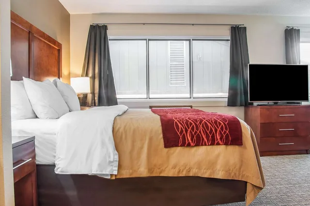 Upgrade, Efficiency, Suite, King Bed, Accessible، Comfort Inn Dickinson, ND 1/3