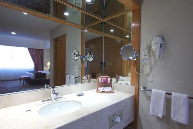غرفة بريميوم بسرير مزدوج، Crowne Plaza Mexico Norte Tlalnepantla 4/4