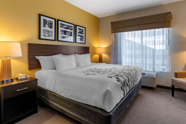 جناح بسرير كينج مع أريكة، Sleep Inn & Suites Miles City I-94 1/3